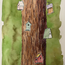Birdhouses on Tree