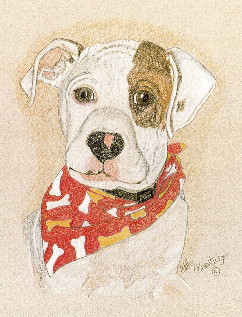“PATCH” WITH SCARF