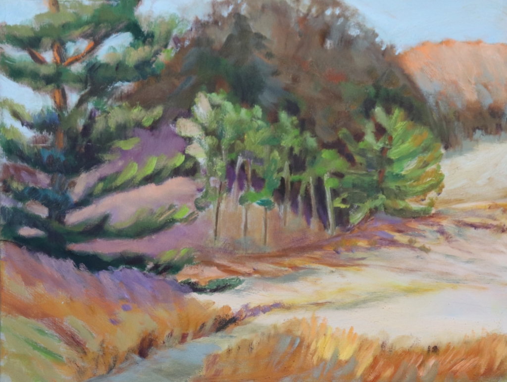 Dunes in Late Afternoon