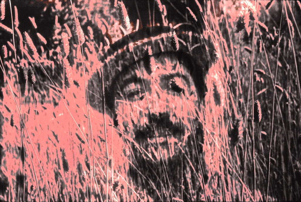 MAN IN STRAW HAT IN WHEAT