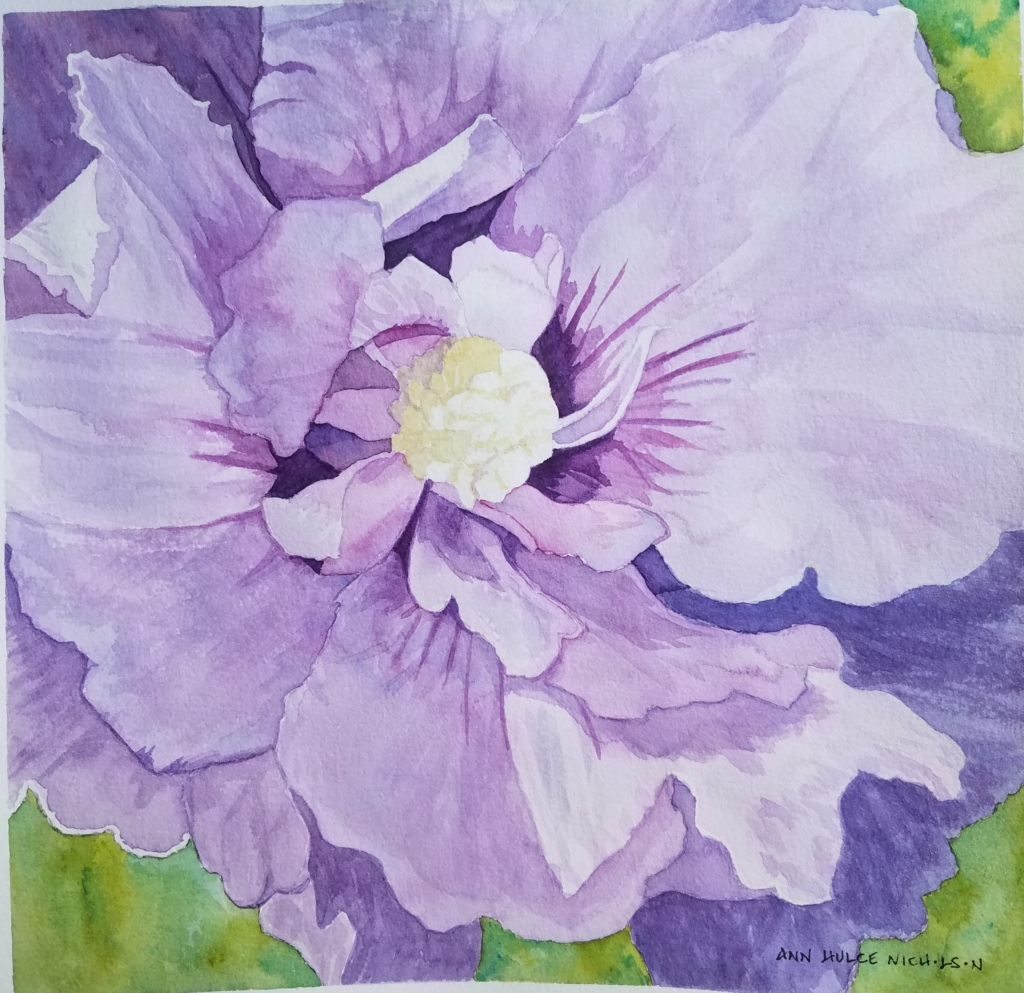 Rose of Sharon
