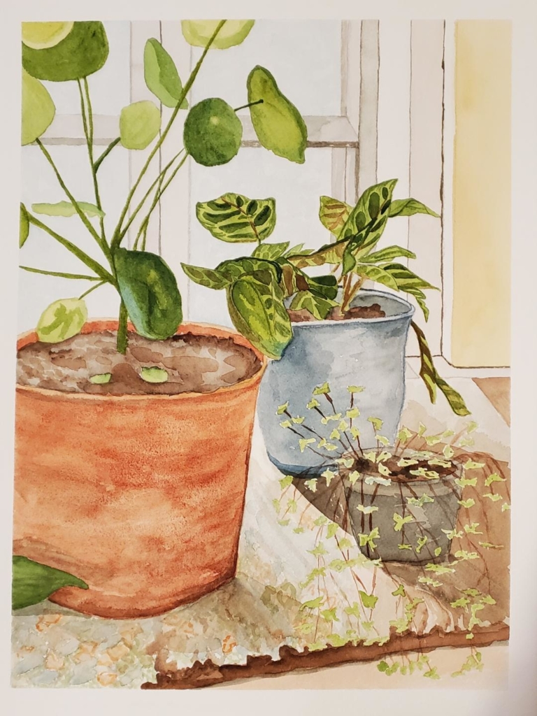 Sara’s Windowsill