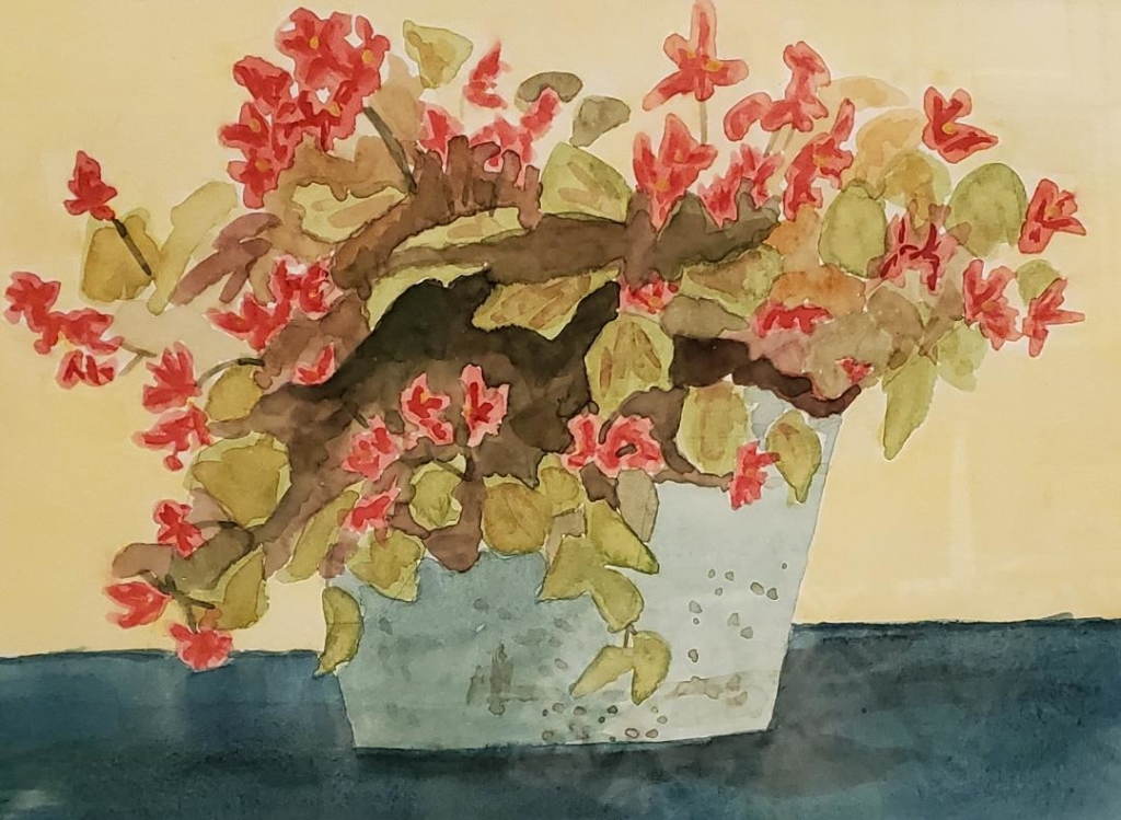 Begonia in Turquoise Pot