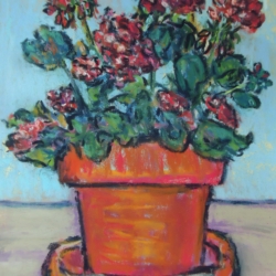Geranimum Study