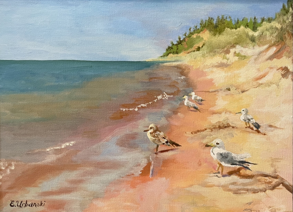 Beach, Birds, Bliss