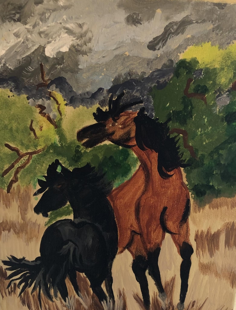 Wild Wild Horses