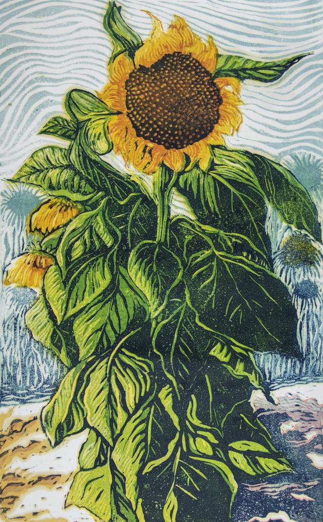 Sunflower with border