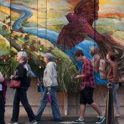 SOARING for ArtPrize
