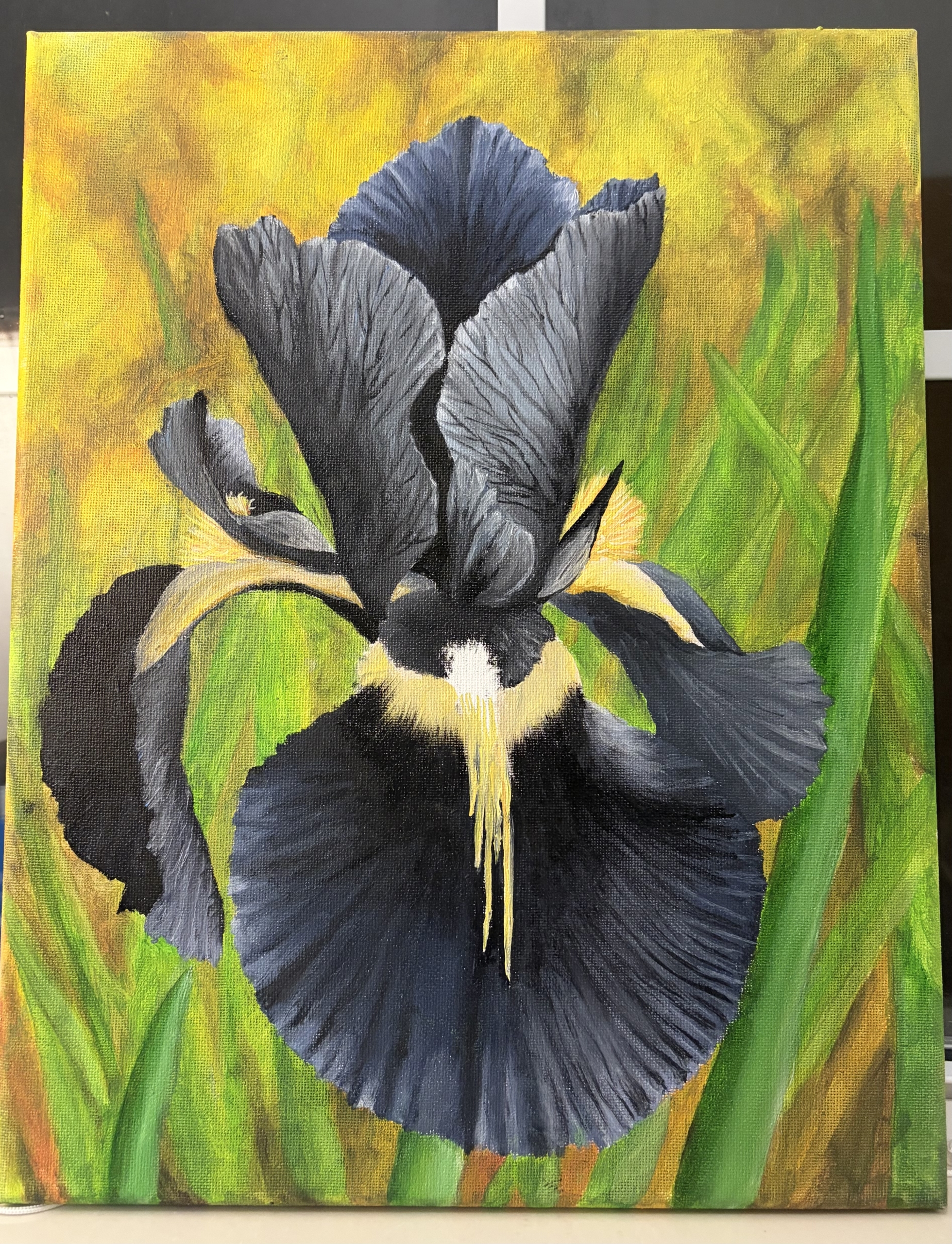 Cindy_Coleman_Black Iris