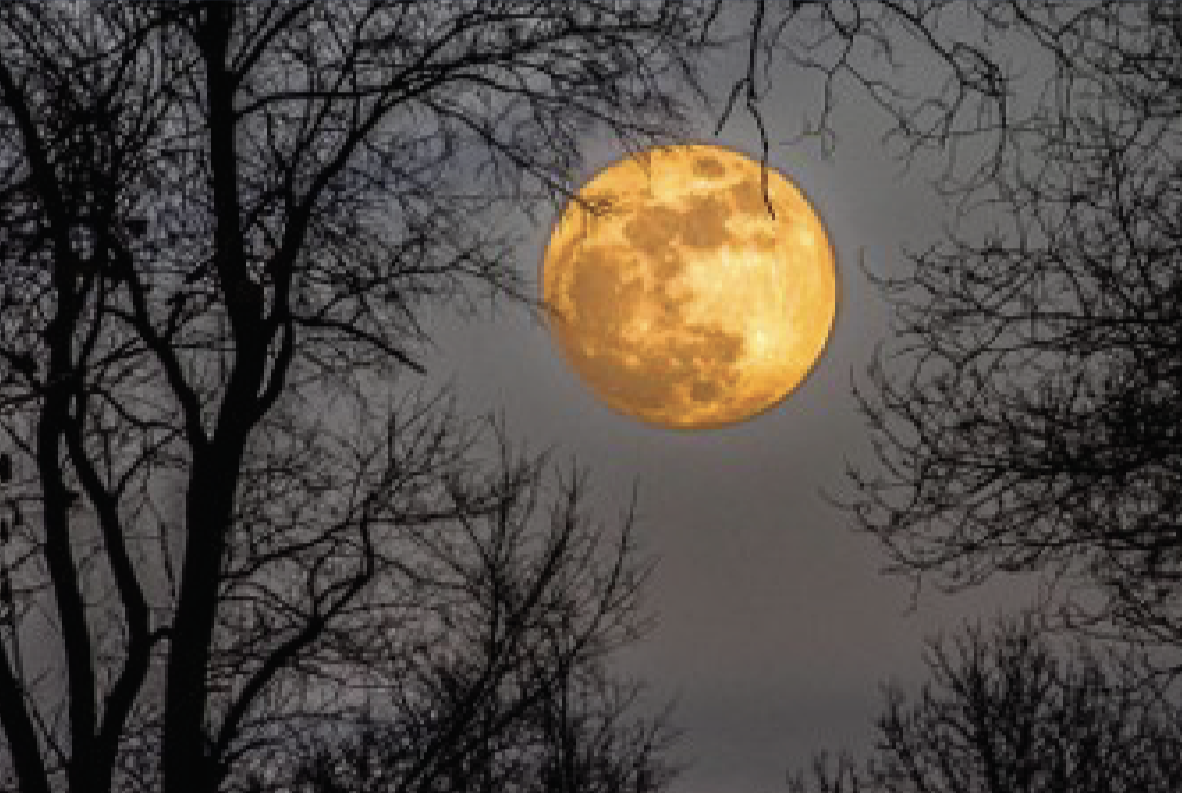 moon_crop